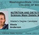 Student-ID-cards-2
